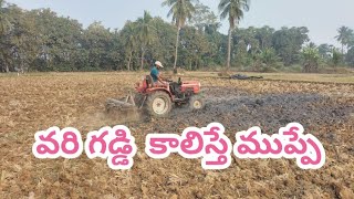 వరి గడ్డి కాలిస్తే ముప్పే. (paddy grass burning)