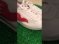 波鞋開箱 unboxing sneaker review nike cortez 72 s.d.