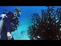 Our Big Trip - Diving the Rainbow Reef on Fiji