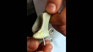 anatomi labı larynx maketi-3