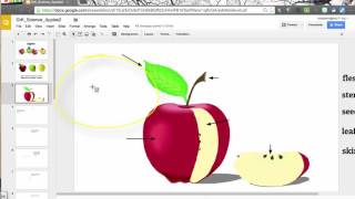 Locking Objects on a Google Slide