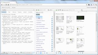 NextCMS: Showing useful data for debugging with the Debug plugin