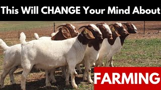 I Visited Zimbabwe’s TOP Boer Goat Farmer—You Won’t Believe This!