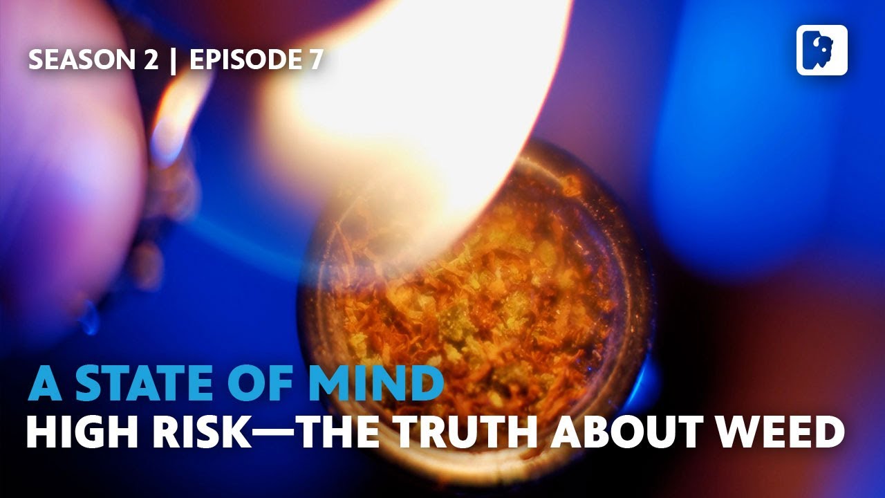 High Risk The Truth About Weed Top Documentary Films Top