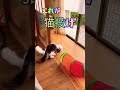 【超必殺技奥義】ダイくんvsポンちゃん