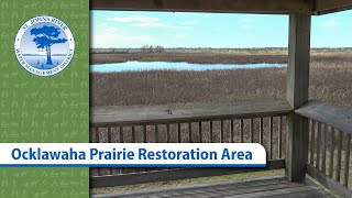 Ocklawaha Prairie Restoration Area