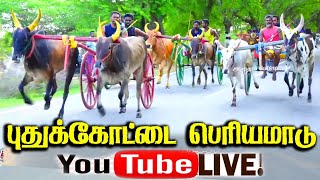 ₹50.000 மச்சுவாடி பெரியமாடு பந்தயம்