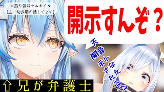 弁護士の兄を持つ雪花ラミィ/幼少の頃のふたりのお話【雪花ラミィ/天音かなた/ホロライブ切り抜き】