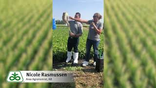 Corteva Agriscience™ Keep Growing Tour - How to Recognize When Your Corn is Pollinated