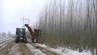 Billet harvester at Skarhult Sweden Feb 2015 front