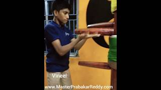 Wing Chun Vineel Indian Martial Arts Team Master Prabhakar Reddy Nellore +91 9849465401