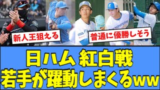 【優勝してまう】ハムファン歓喜、紅白戦で\