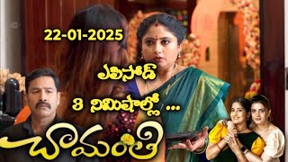 Chamanthi | Jan 22 2025 | Ep - 19| Latest episode explained in 3 minutes | SRISKAR