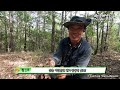 독버섯을 알아야 사고를 피할 수 있습니다 9월 야산의 야생버섯들 2 with 황태달 장pd 야생버섯 산행 mushroom