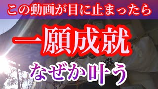 【太郎坊宮  阿賀神社 一願成就】一願成就 執着を手放したらいつの間にか願いは叶う！　リモート参拝