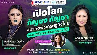 เริ่มแล้ว  SPOTLIGHT Live Talk   \