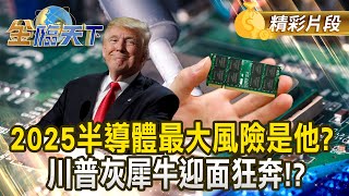 2025半導體最大風險是他？川普灰犀牛迎面狂奔！？｜#金臨天下 20250205 @tvbsmoney​