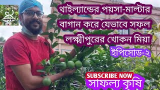 সফল কৃষকের সফলতার গল্প। এপিসোড-২।খোকন মিয়ার থাইল্যান্ড এর পয়সা-মাল্টার চাষ।#মাল্টা#malta#agriculture