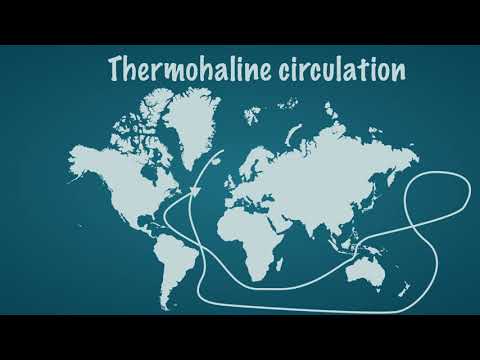 What are two types of ocean currents give examples?