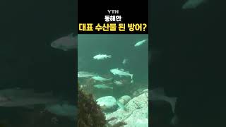 어 이게 왜 있지? #shorts / YTN