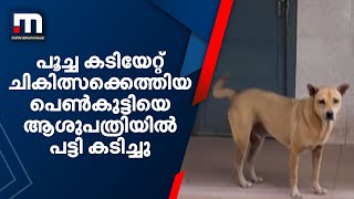 പൂച്ച കടിയേറ്റ് ചികിത്സക്കെത്തിയ പെൺകുട്ടിയെ ആശുപത്രിയിൽ പട്ടി കടിച്ചു  | Mathrubhumi News