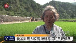 食安問題恐影響 金針採收期憂滯銷 2015-04-27 TITV 原視新聞