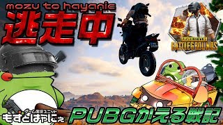 ちょびっとだけ🐤逃走中！PUBG🐸Vtuberパッド奴がえるのプレイヤーズアンノウンズバトルグラウンズ！！【もずとはゃにぇ】