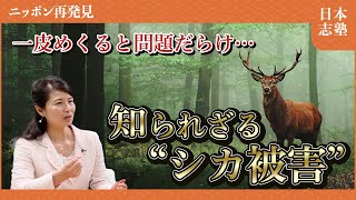 [狩猟記・Part2]四半世紀で10倍に!?….全てを食べ尽くすシカ被害