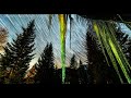 Alpha Rhythm Dnb Yearmix