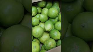 #trending  limon from farm #doha #viral #youtubeshorts #ytshorts #asmr #amizing #video