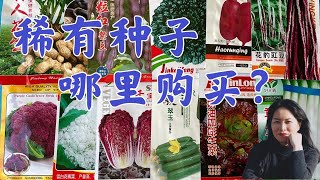 Exotic Seed Source. 稀有种子哪里购买种子？#家庭有机种植