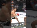 Michael Chandler powerful KO in Bellator