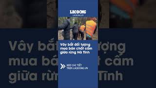 | Báo Lao Động