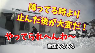 【雪国あるある】　大雪の後　良い事と悪い事？