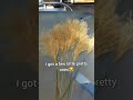 what is pampas grass | picking up real pampas grass and use it as a real home decor #shorts