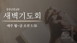 2023.6.20.화. 동탄신광교회 새벽기도회