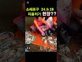 소래포구 24.9.28 난전어시장 저울 바꿔치기 현장