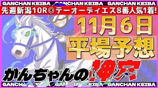 【11月6日土曜日平場予想】厳選穴馬大公開🔥一撃回収スタイル炸裂！！強め推奨的中率大🔥がんちゃんの神穴🔥🔥