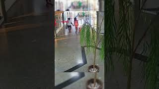 Mulher incendeia loja e causa explosão em shopping de Campos (RJ); assista