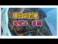 【2024.12】鹿島沖エギタコ！豚バラ肉パワーで狙え、大タコ！