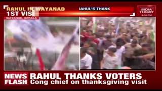 Rahul Gandhi In Kerala: Wayanad Welcomes Their MP With Much Celebrations