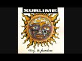 sublime 40oz to freedom