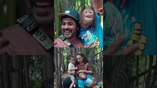 Safari vlog | Adichu keri va #pearlemaaney #srinisharavind #shorts