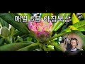 고착화 매일5분 아침묵상 김연희마리아 수녀 평화계곡 0727