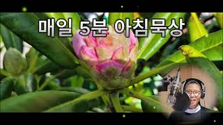 #고착화, #매일5분 아침묵상, #김연희마리아 수녀, #평화계곡, #0727