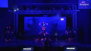 Fusion 2013 - Skrillex -- By Buskers "Mahaveer Nagar Branch" (4th Show)
