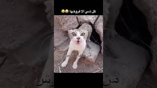 قوة الأم 😳❤️