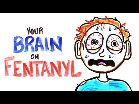 Your Brain On Fentanyl (FIXED) Your Brain On Fentanyl (FIXED)
