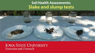 Soil Health Assessment Series: Aggregation - Slake and Slump Tests