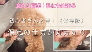 【Grooming】All Dog ”Retention (Fix The Position of The Dog) ”